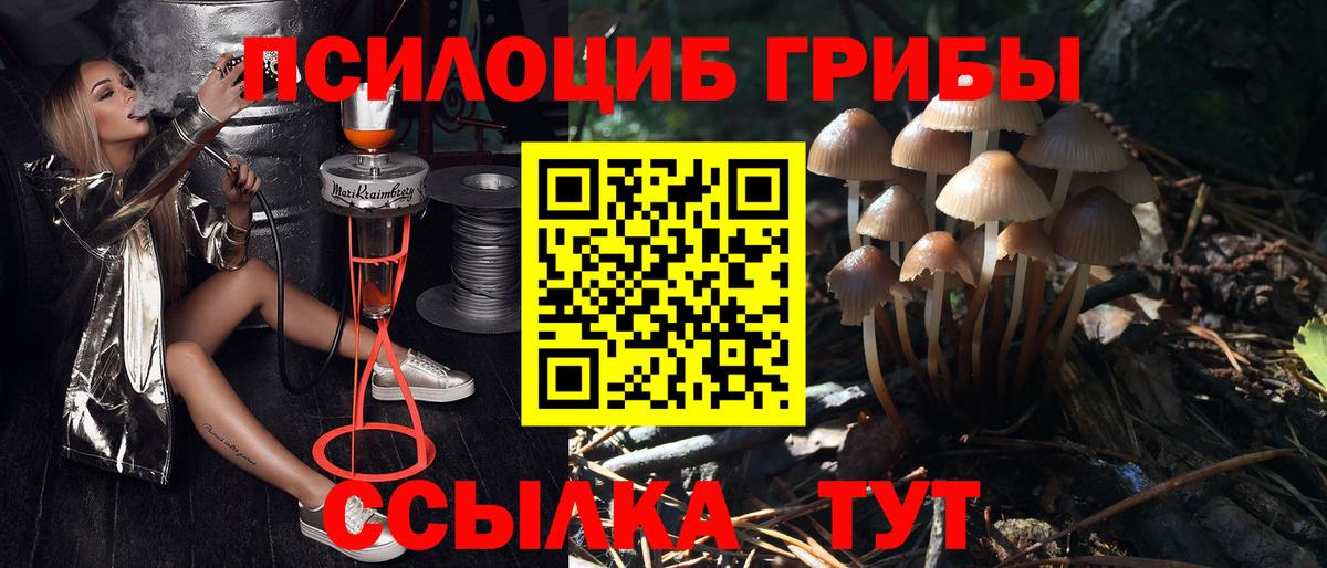 Галлюциногенные грибы прущие грибы Заречный